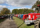Appelfest2012042