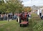 Appelfest2012058