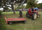 Appelfest2012060