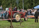 Appelfest2012066