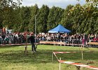 Appelfest2012069