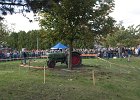 Appelfest2012095