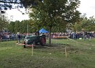 Appelfest2012096