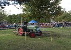 Appelfest2012099