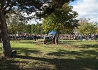 Appelfest2012114