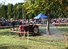 Appelfest2012147