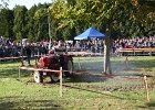 Appelfest2012148