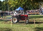 Appelfest2012149