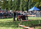 Appelfest2012151