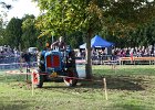 Appelfest2012175