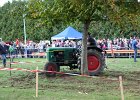 Appelfest2012186