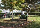 Appelfest2012196
