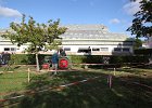 Appelfest2012205