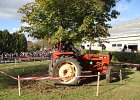 Appelfest2012225