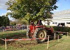 Appelfest2012226