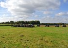 Appelfest2012kasel061