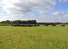Appelfest2012kasel062