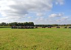 Appelfest2012kasel063