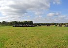 Appelfest2012kasel064