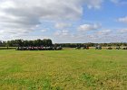 Appelfest2012kasel065