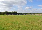 Appelfest2012kasel066