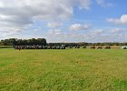Appelfest2012kasel067