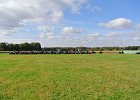 Appelfest2012kasel071