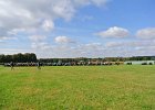 Appelfest2012kasel074